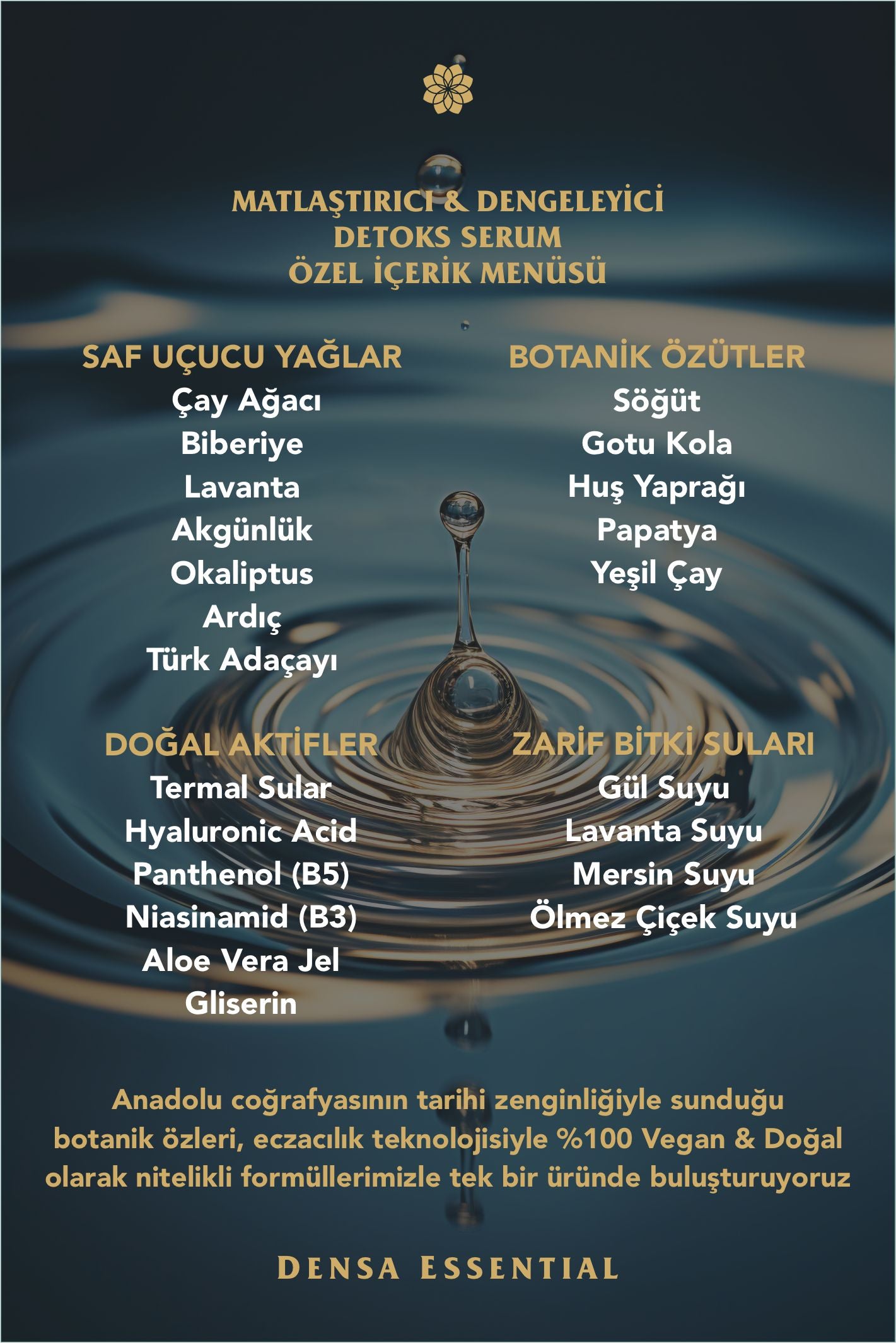 MATLAŞTIRICI & DENGELEYİCİ DETOKS SERUM - AKNE/KOMEDON/SİYAH NOKTA/GÖZENEK/DÜZENSİZ & YAĞLI CİLT KARŞITI ETKİLİ 50