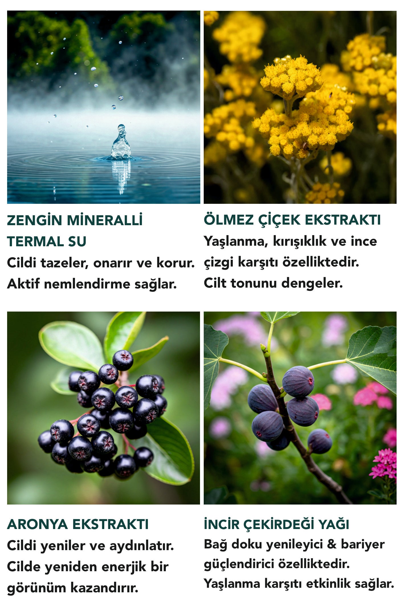 ONARICI ZENGİN KREM - YAŞLANMA & KIRIŞIKLIK KARŞITI ETKİLİ 50 ML