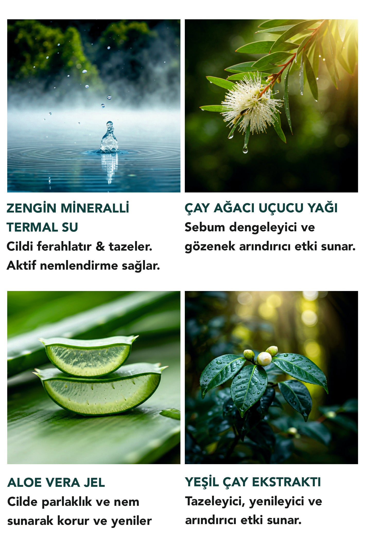 ARINDIRICI & DENGELEYİCİ AROMATERAPİK TEMİZLEME JELİ