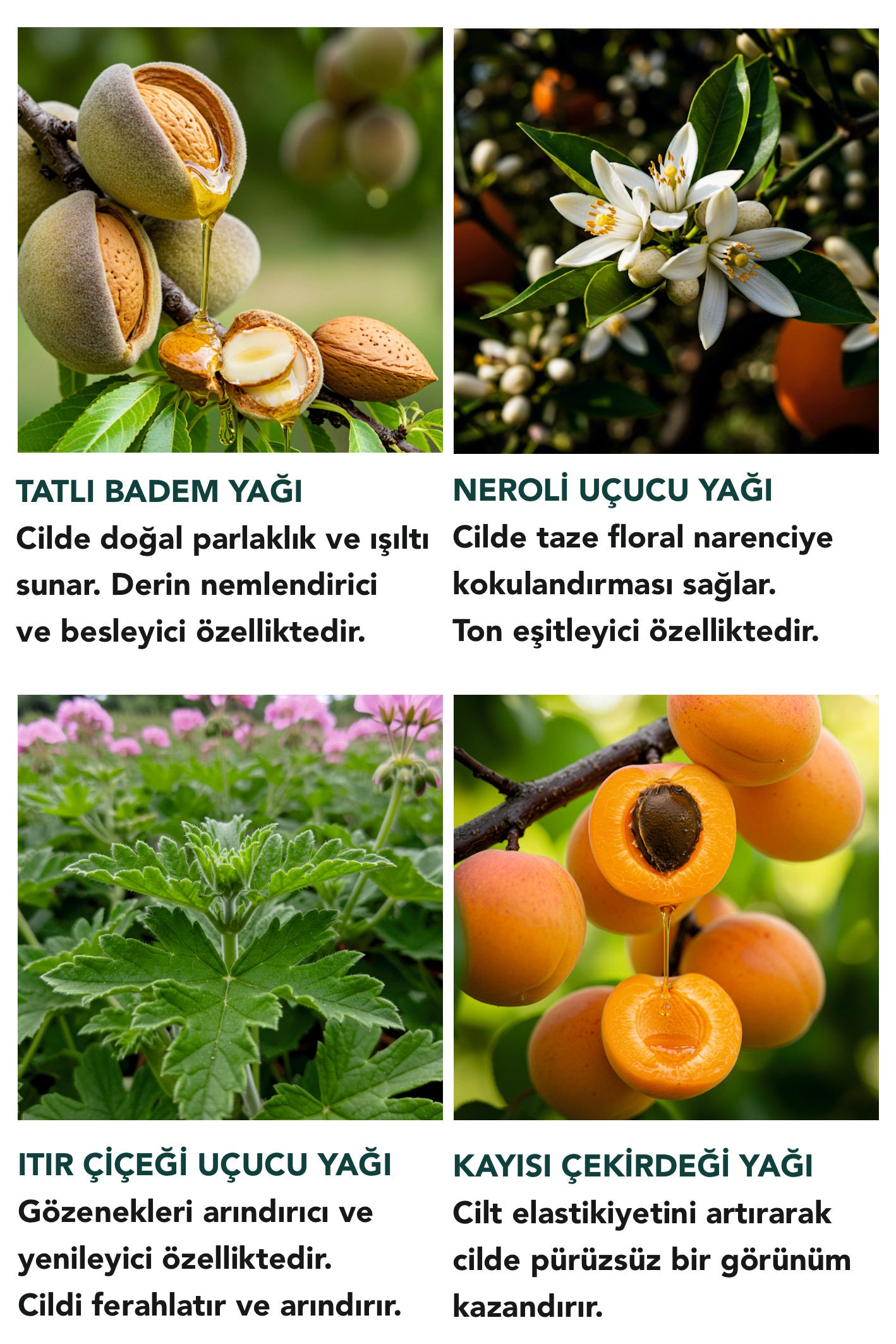İPEKSİ KURU YAĞ - PARLATICI/BESLEYİCİ/NEMLENDİRME ETKİLİ VÜCUT YAĞI 50 ML