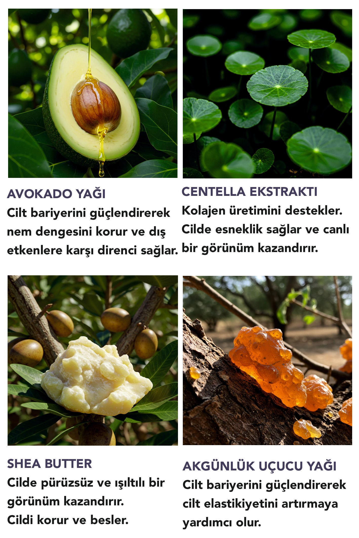 BIO PROTECT BARİYER GÜÇLENDİRİCİ KREM - ÇATLAK KARŞITI & ONARICI ETKİLİ 50 ML