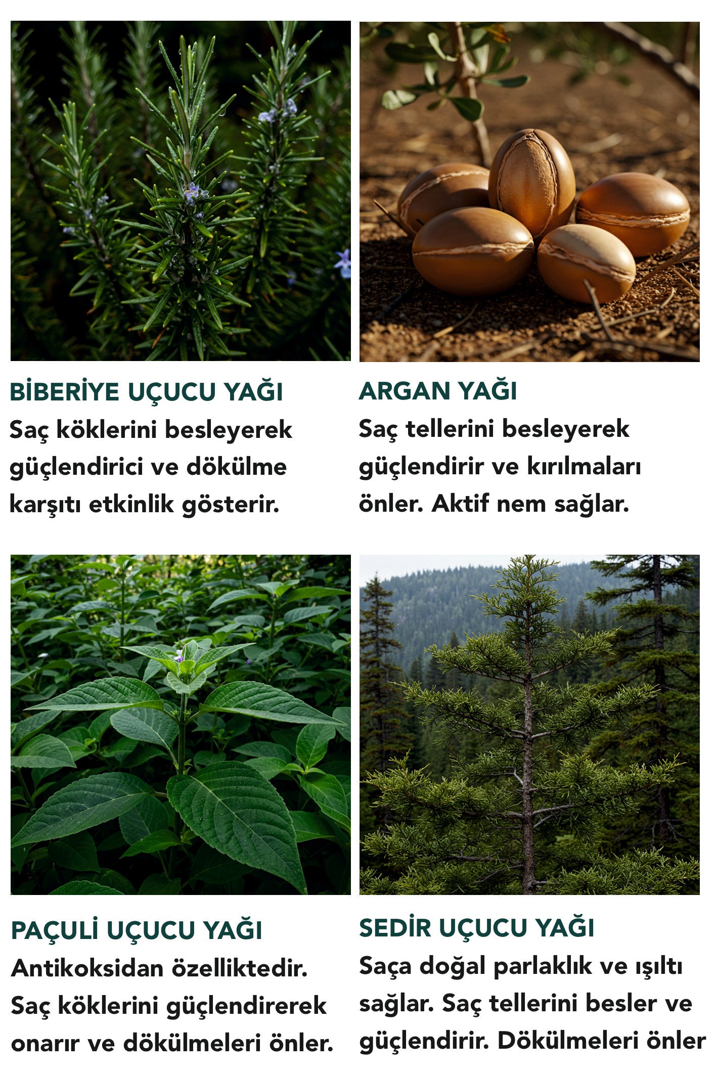 DÖKÜLME KARŞITI SAÇ BAKIM YAĞI - ONARICI/GÜÇLENDİRİCİ/BESLEYİCİ/PARLATICI ETKİLİ 50 ML