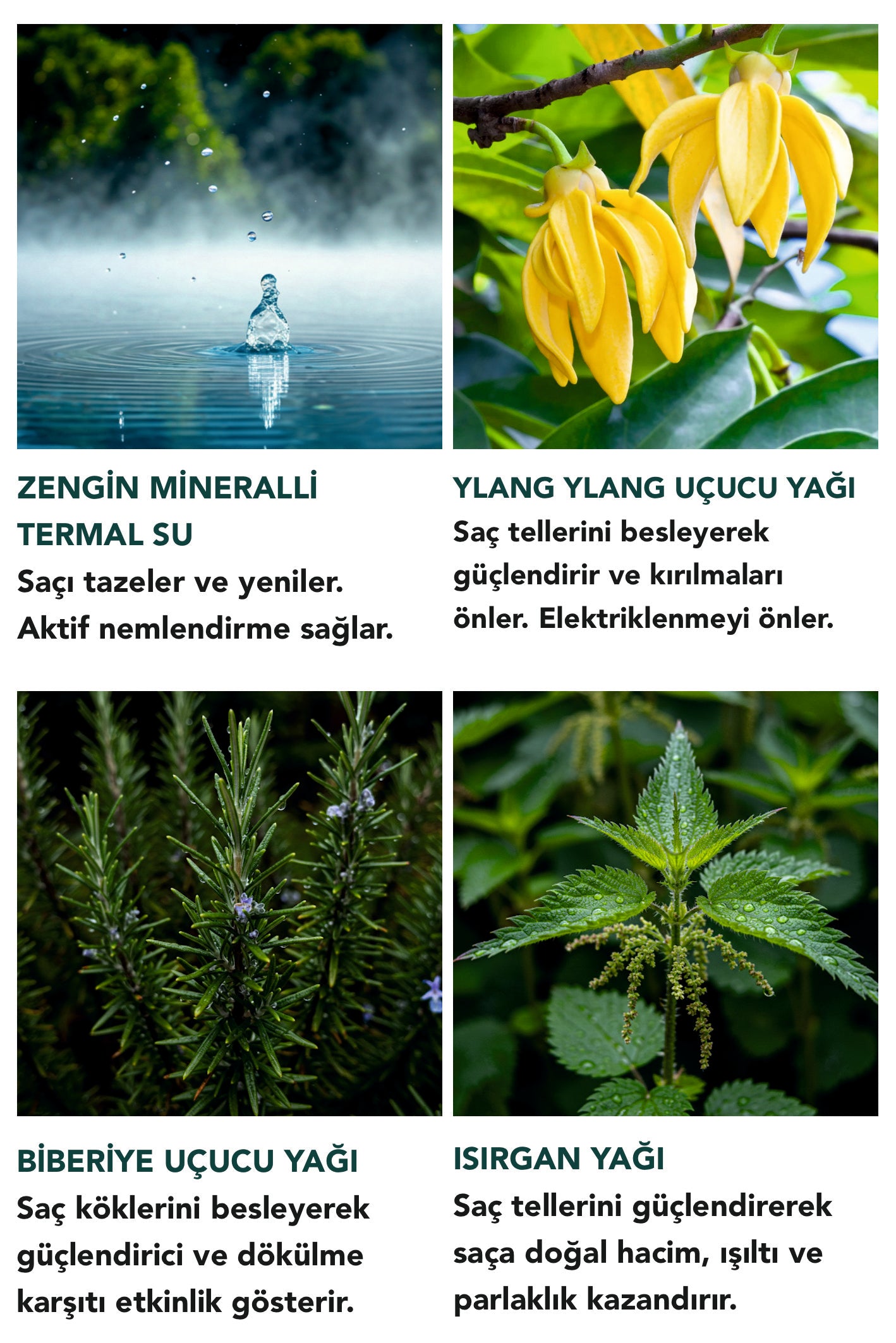 AKTİF SAÇ SERUMU - HACİM KAZANDIRICI/BESLEYİCİ/NEMLENDİRİCİ/ELEKTRİKLENME KARŞITI 50 ML