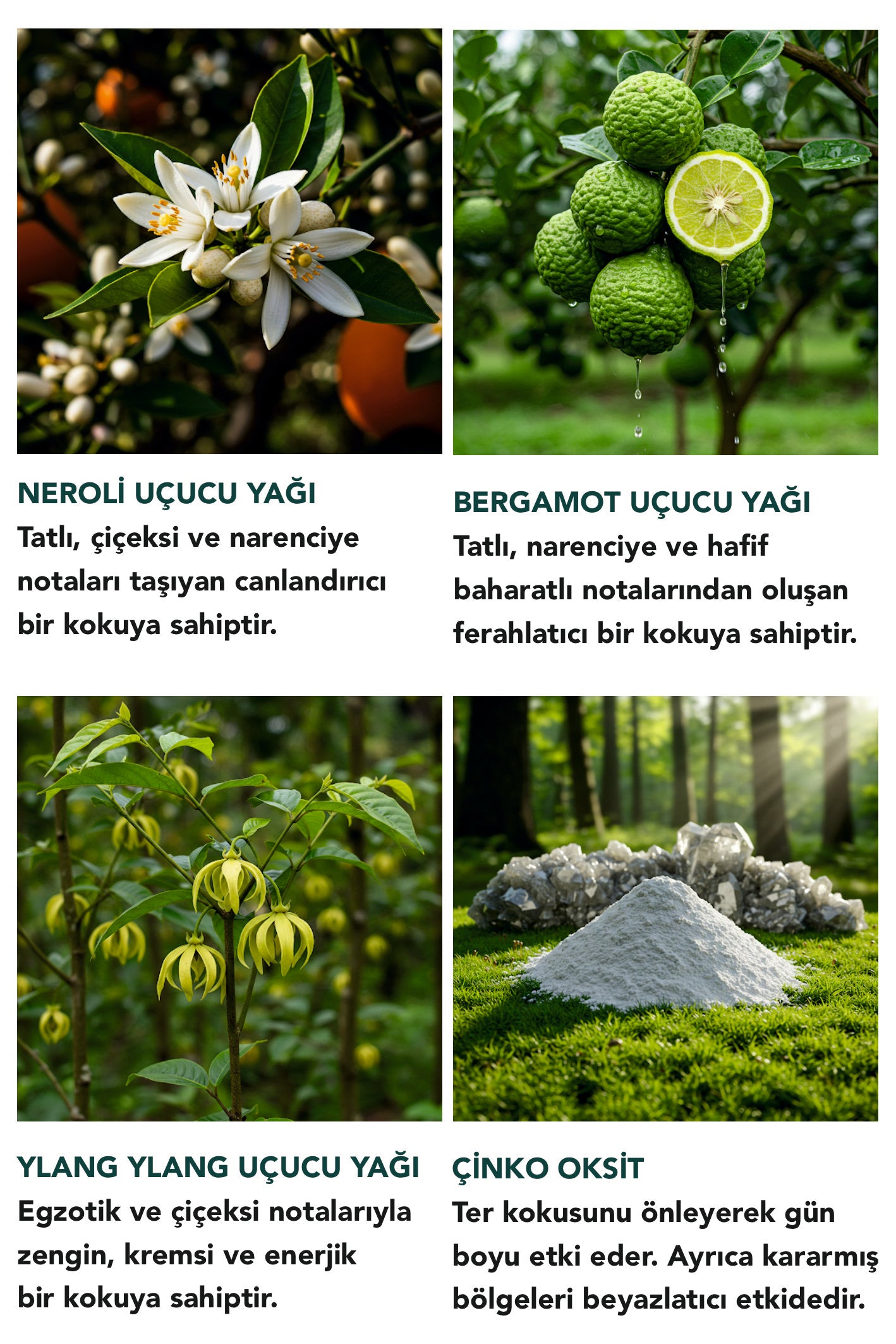 CITRUS KREM DEODORANT - GÜN BOYU SÜREN TAZE NARENCİYE KOKUSU 50 ML