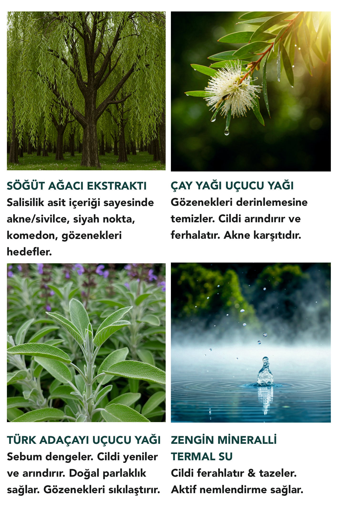 MATLAŞTIRICI & DENGELEYİCİ DETOKS SERUM - AKNE/KOMEDON/SİYAH NOKTA/GÖZENEK/DÜZENSİZ & YAĞLI CİLT KARŞITI ETKİLİ 50