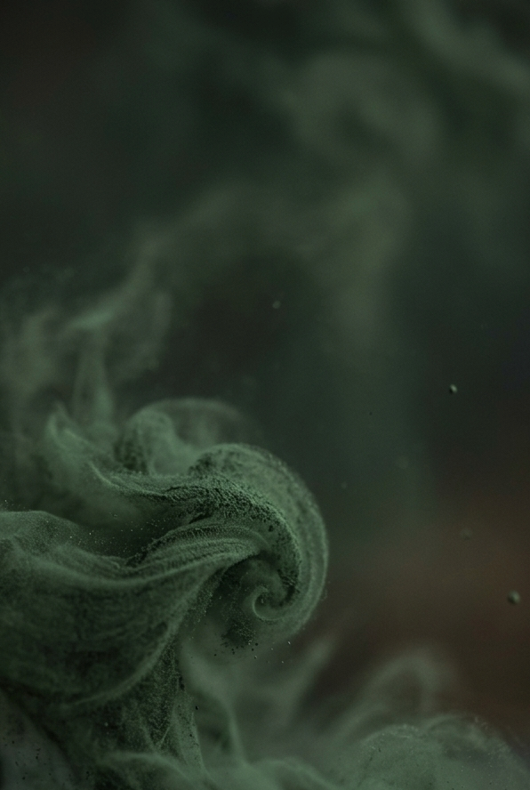 Spirulina (Spirulina platensis) — TROPİK GÖLLER